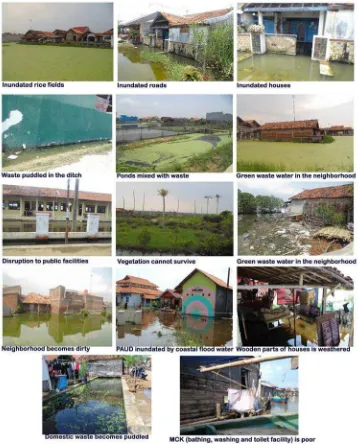Figure 3. Impacts of tidal floods in Pekalongan coastal areas 