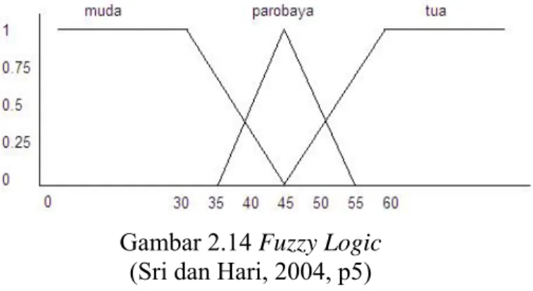 Gambar 2.14 Fuzzy Logic  (Sri dan Hari, 2004, p5) 