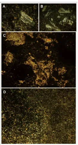 Figure 4. Photomicrograph of Volcanic Rocks that Build Up Godean Landscape, (A) Porphyritic Andesite; (B) Microdiorite; (C) Pumice; and (D) Glass Tuff