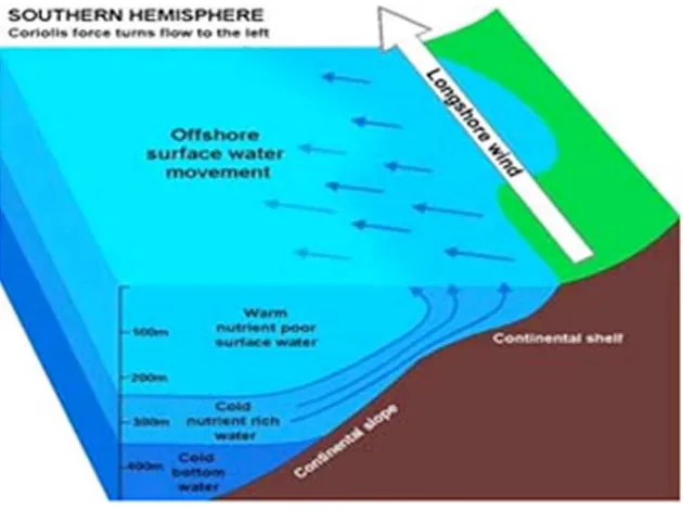 Figure 6.  Upwelling process in the southern waters of Java. Source: https://cmast.ncsu.edu