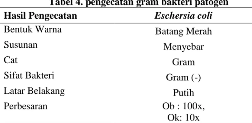 Tabel 4. pengecatan gram bakteri patogen 