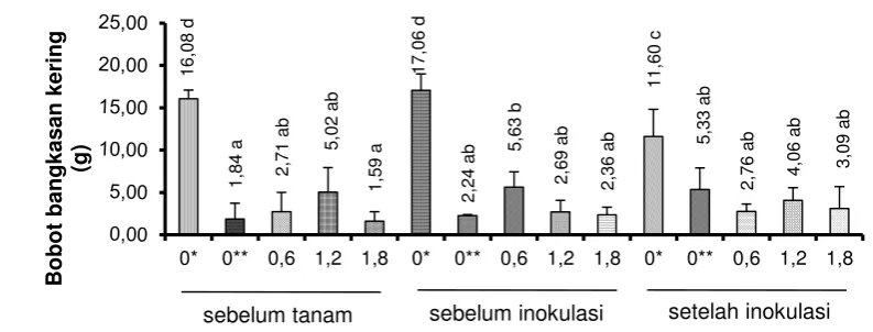 Gambar 6. Pengaruh kombinasi waktu aplikasi dan konsentrasi minyak atsiri serai terhadap bobot kering tanaman kacang panjang