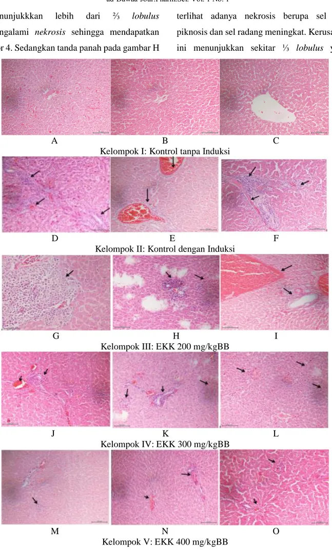 Gambar  1 : Hasil pengamatan histopatologi pada setiap tikus 