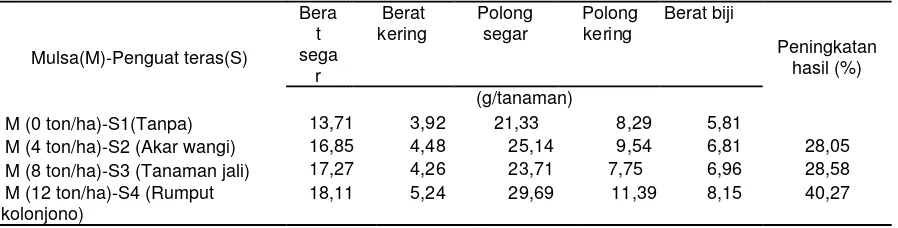 Tabel 5. Pengaruh mulsa dan penguat teras terhadap hasil tanaman kara merah 