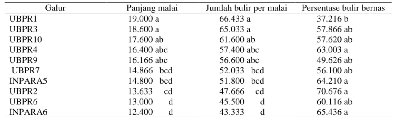 Tabel 4. Rataan panjang malai dan jumlah bulir per malai dan persentase bulir bernas (%) 