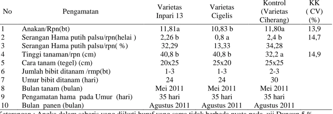 Tabel  :1. Serangan hama putih palsu dan keragaan agronomik pada varietas Inpari 13,  Cigelis dan  Ciherang di desa Wonosari, Kec