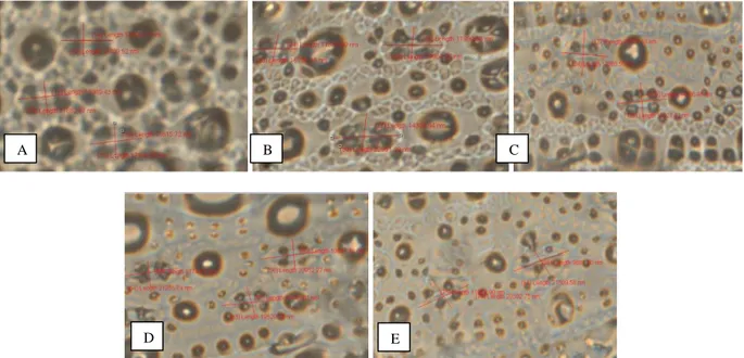 Gambar 2. Kerapatan stomata padi.  (A ) Genotipe mutan (B) Towuti (C) 8375 (D) IR64 (E) IR20 