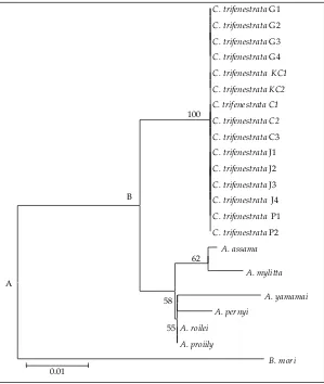 Figure 2. Silkmoth phylogeny based on 189 amino acid COI with Neighbor-Joining method, 1000x bootstrapped, and p-distance ������� ��� ��������� ���������� ������ �� ���� ������ ���� ��� ����