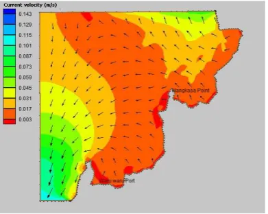 Figure 5. Hydrodynamic model of tidal current velocity and direction during low tide at the coastal sea of Malili (Lanuru et al., 2015)