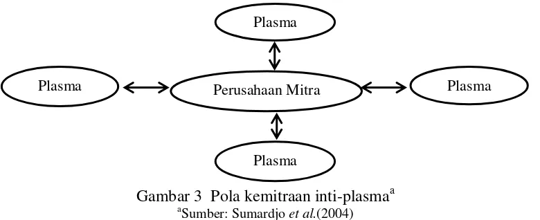 Gambar 3  Pola kemitraan inti-plasmaa 