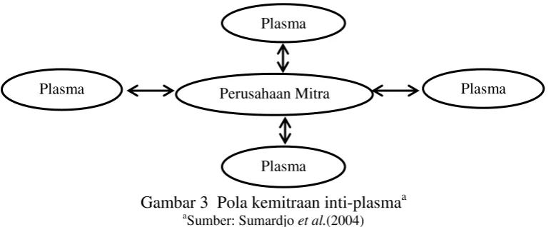 Gambar 3  Pola kemitraan inti-plasmaa 