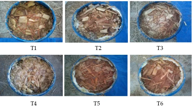 Figure 1. Physical appearance of vegetable waste silages.  T1= vegetable waste (67%) + rice bran(33%); T2= vegetable waste (59%) + ������������� ������ �� ����� ����� ������������� ������ �� ����� ����� ������ ������� ������������� ������ �������onggok(33%); T5= vegetable waste (67%) + pollard (33%); T6= vegetable waste (59%) + rice straw (8%) + pollard (33%).���rice straw (8%) + rice bran (33%); T3= vegetable waste (67%) + onggok (33%); T4= vegetable waste (59%) + rice straw (8%) + ������������������������������������������������������������������������������������������������� �������� � �������������