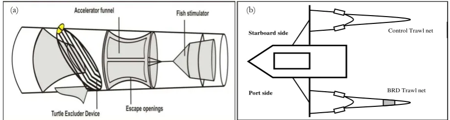 Figure 1.  (a) Installation scheme of Jones-Davis type BRD (Watson et al., 1999), (b) and pair-trawl method  
