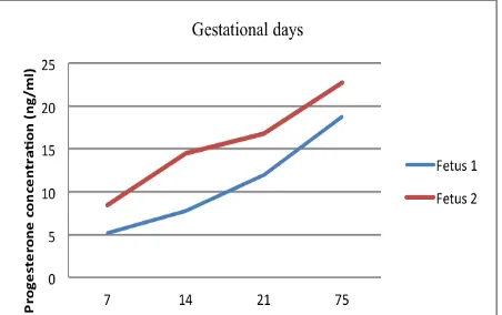 Figure 1. Progesterone hormone concentration (ng/mL) at different gestation days 