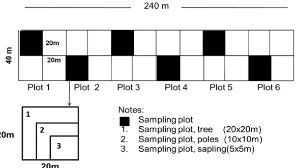 Figure 2. The design plots observed in RA/SF (Indryanto, 2006) 