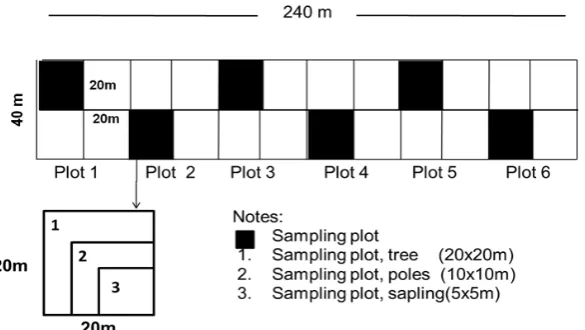 Figure 2. The design plots observed in RA/SF (Indryanto, 2006) 