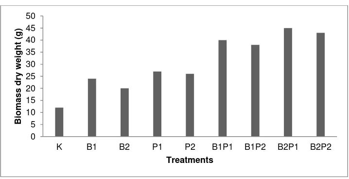 Figure 1. Plant height of sweetcorn caused by biofertilizer and NPK inorganic fertilizer, Barambai, dry 