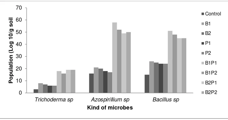 Figure 3. Soil microbial population on 75 days after planting affected by biofertilizer and NPK inorganic fertilizer  