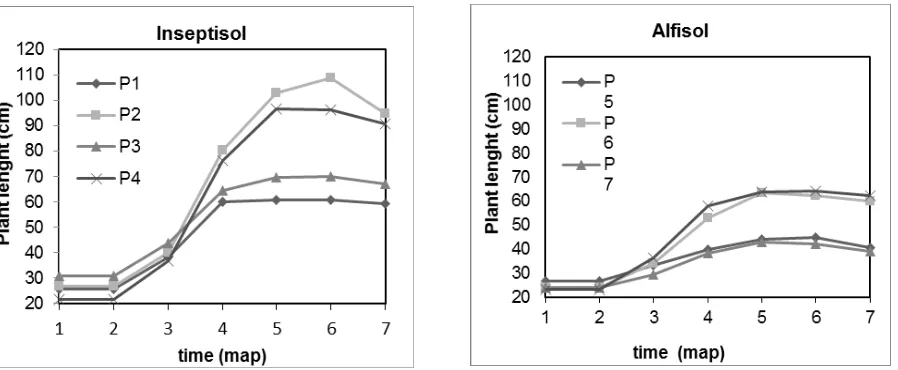 Figure 2.Number of leaf on temulawak (Curcuma xanthorriza) grown in Inseptisol and Alfisol with fertilizer -1-1