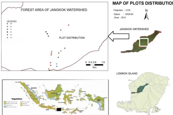 Figure 1. Site of plot distribution at Jangkok Watershed  