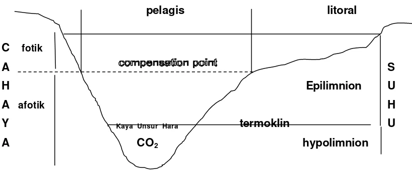 Gambar 1. Profil perairan menggenang (Suwignyo, 2003). 