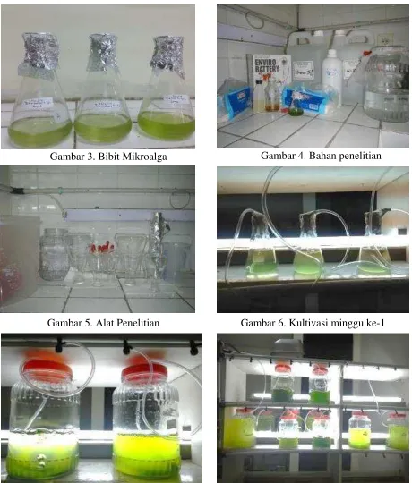 Gambar 4. Bahan penelitian 