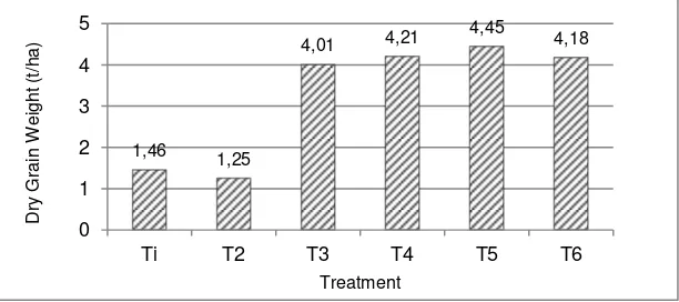 Figure 1. The growth of maize based on plant height for each treatment 