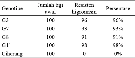 Tabel 1. Seleksi ketahanan benih padi BC3F4 dan padi cv. Ciherang terhadap higromisin 