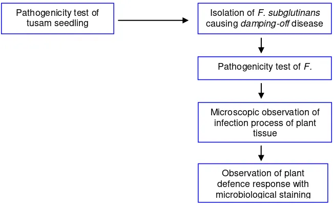 Figure 1. Research Procedure 