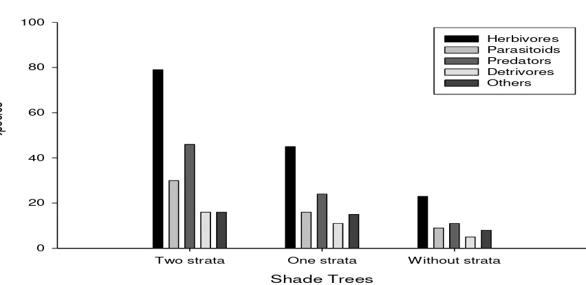 Figure 1. Population of each arthropod in all strata of shade tree of cocoa plantation based on its ecological function/roles 