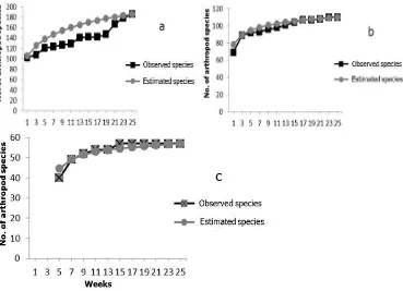 Figure 2. Curves of Growth rate of species number and estimated species in cocoa plantation under the three strataof shade tree(a) twostrataofshade tree; (b) one stratumof shade tree; and (c) without shade tree 