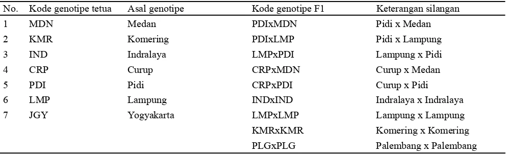 Tabel 1  Materi genetik tanaman tetua dan F1 jarak pagar