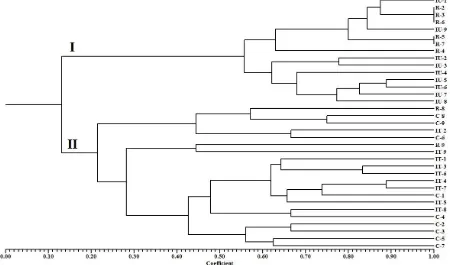 Figure 2.  Dendrogram of M1 rice genotypes  