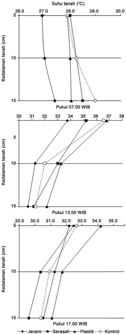 Gambar 1. Proil suhu pada beberapa kedalaman dan perlakuan mulsa pada pertanaman cabai rawit 30 HST di DAS mikro Selopamioro