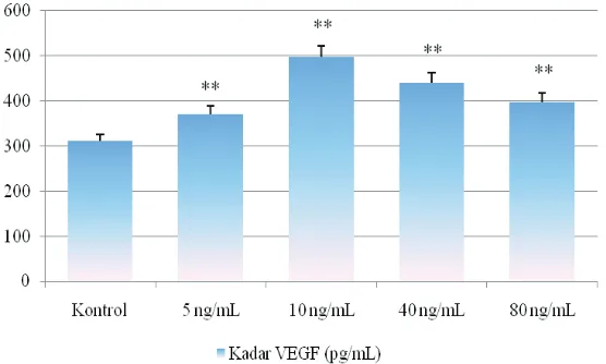 Gambar 2 Kadar VEGF pada Medium MSC yang Telah Diaktivasi TNF-α dengan Dosis 5, 10, 40, dan    