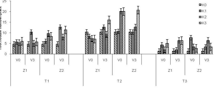Figure 1. Effect of phytohormones concentration (K), application time (V), kind of phytohormones (Z) and soil ordo (T) 