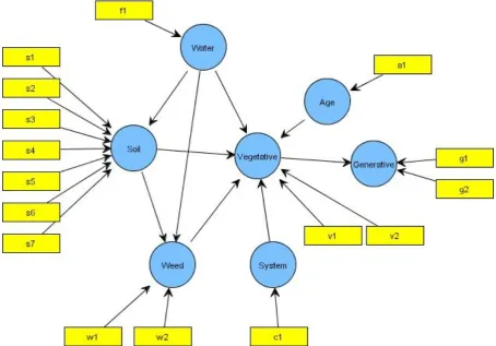 Figure 1. Interaction model of environmental factors and black rice growth in irrigated organic paddy field 