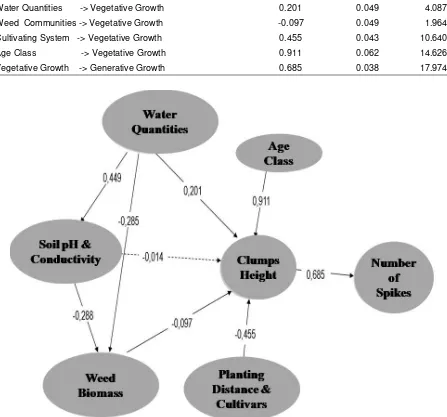 Figure 2. Model interactions of environmental factors with growth of black rice vegetative and generative 