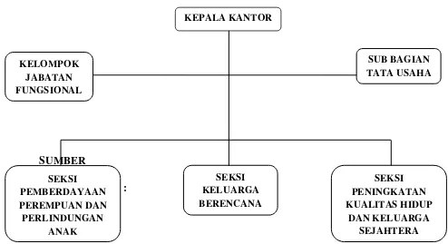 Gambar 2.1 BAGAN INSTANSI 