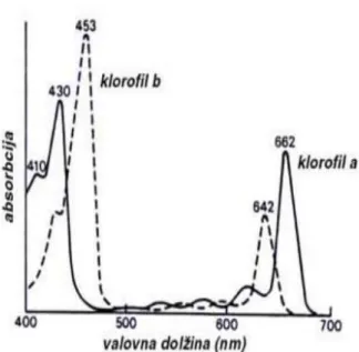 Gambar 3. Spektrum serapan klorofil a dan b (Sumaryanti et.al., 2011) 