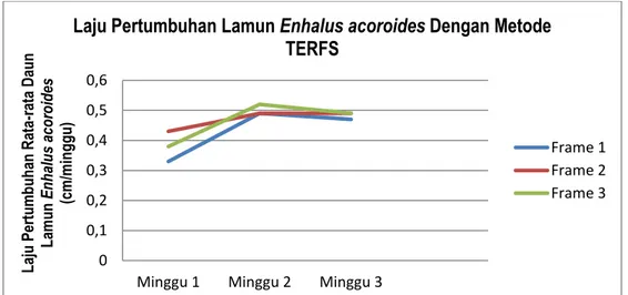 Laju Pertumbuhan Lamun Enhalus Acoroides Yang Di Transplantasi Dengan ...