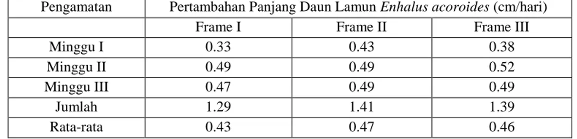 Laju Pertumbuhan Lamun Enhalus Acoroides Yang Di Transplantasi Dengan ...