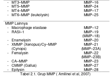 Tabel 2.1. Grup MMP ( Amilinei et al, 2007) 