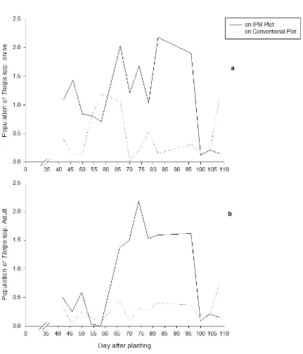 Figure 1. Population dynamic of  Thrips sp. larvae (a) and adult (b) on both plots of strawberry plantation 