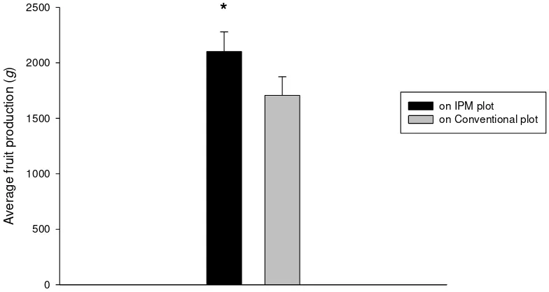 Figure 4. Average damage intensity of Thrips sp. on both plots of strawberry plantation (*symbol described 