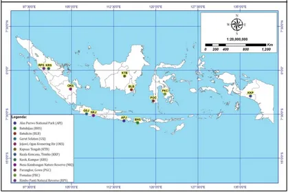 Figure 1. Geographic distribution of 12 populations of white jabon in Indonesia  