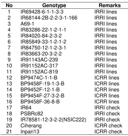 Table 1. High Fe content rice lines for GGE study, Indonesia, DS 2011-2012 