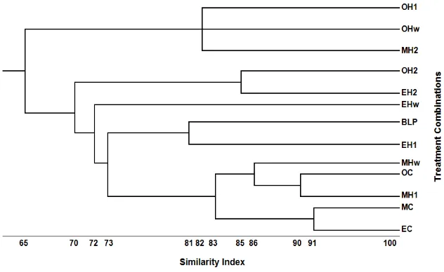 Figure 1.  Dendogram based on similarity indexes of weed populations.  BLP: before land preparation, O: no organic compost, M: manure compost,  E: EFB compost, C: unweeded as a control, H1: herbicide mixture of atrazine and mesotrione applied preemergence, H2: herbicide mixture applied postemergence, Hw: hand weeding twice (14 and 28 days after planting) 