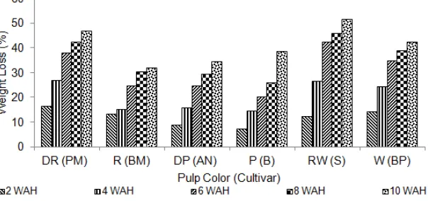 Figure 2. Fruit weight loss in various seeded pummelo cultivars 