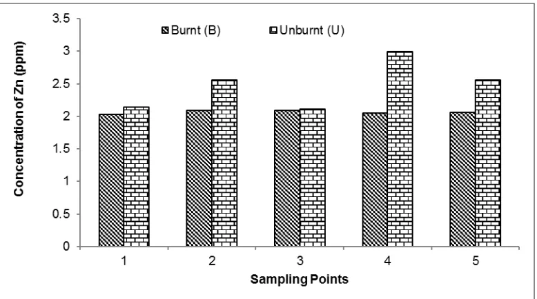 Figure 1. Copper (Cu) content found at different sampling points in burnt and unburnt soils
